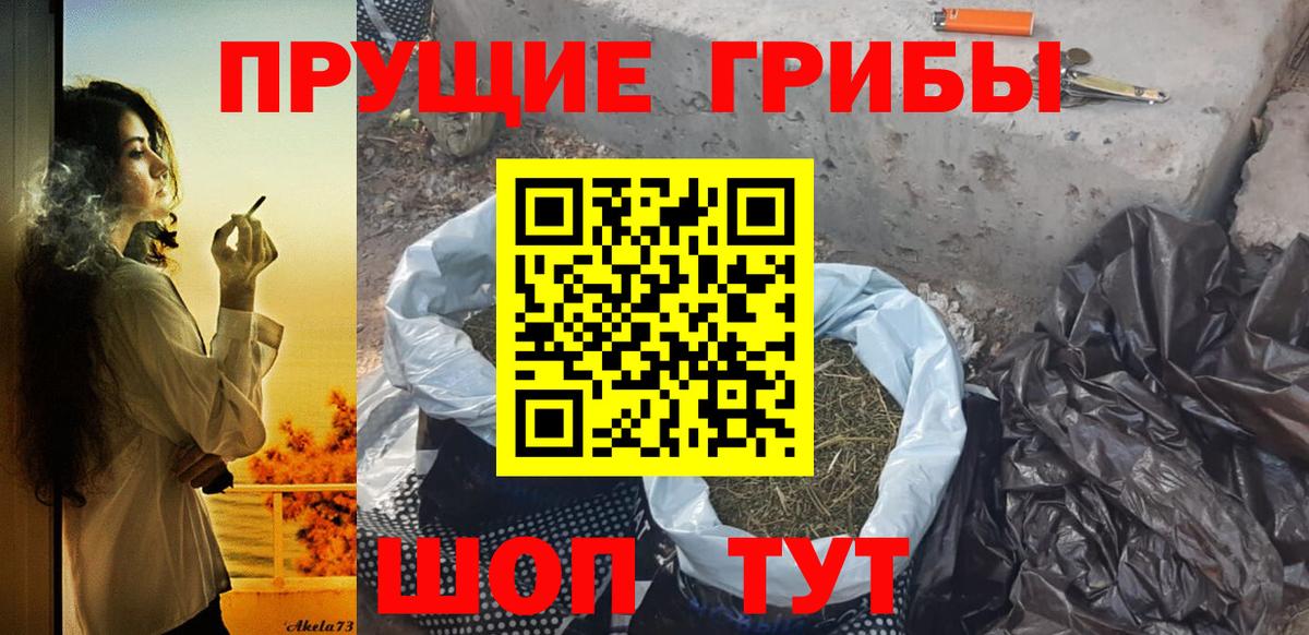Галлюциногенные грибы ЛСД Дивногорск