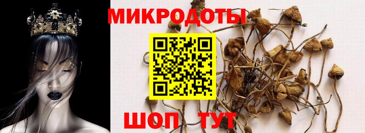 Галлюциногенные грибы Magic Shrooms  Вход с VPN  Дивногорск  Галлюциногенные грибы ЛСД 