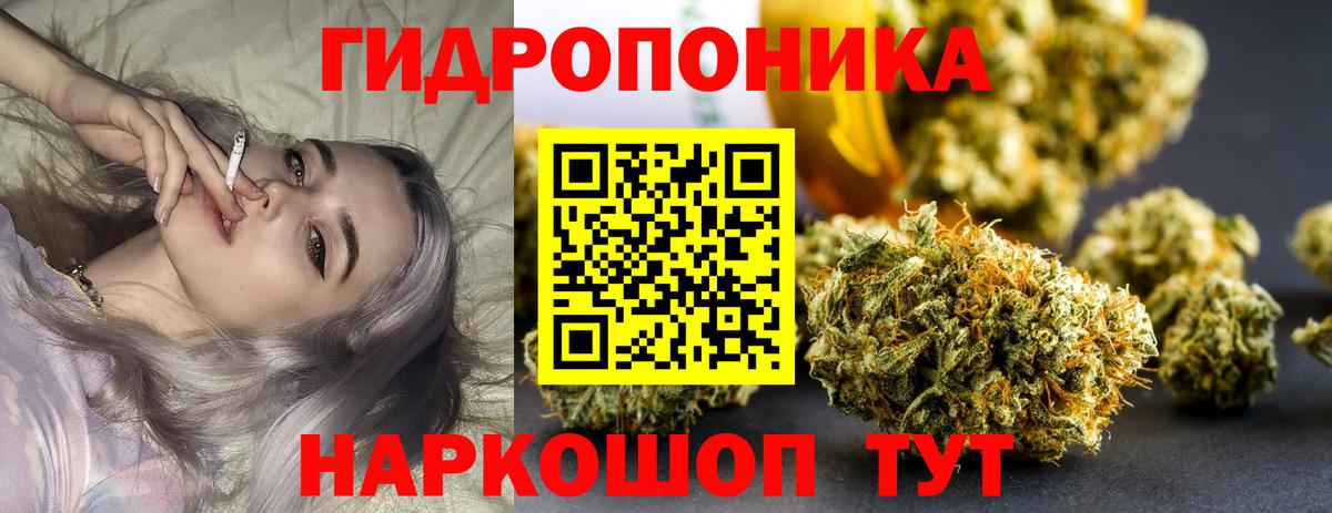 Дивногорск  Бошки марихуана тримм  Марихуана MAZAR  Конопля Amnesia  Вход с VPN 